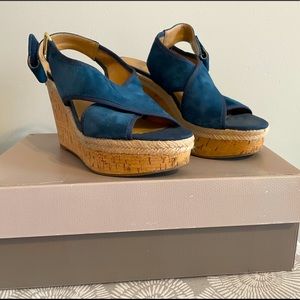 Blue/teal wedges